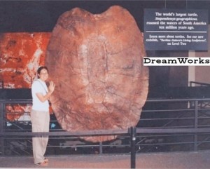 Create meme: fossils, antediluvian giant turtles, the largest Ammonite