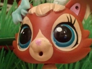 Create meme: pokemoncate, lps toys, LPS Toy