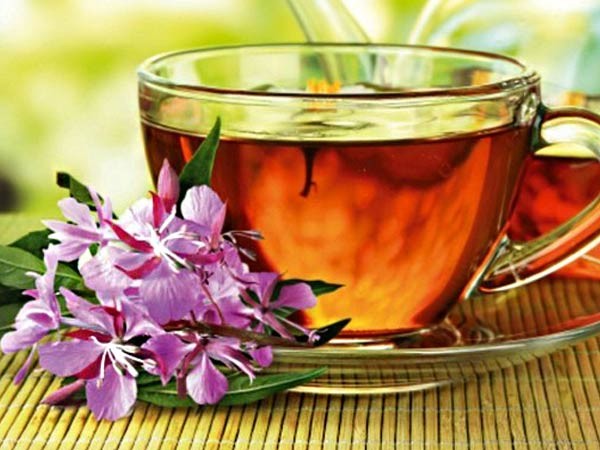 Create meme: ivan tea, boiling tea, ivan tea medicinal properties and contraindications
