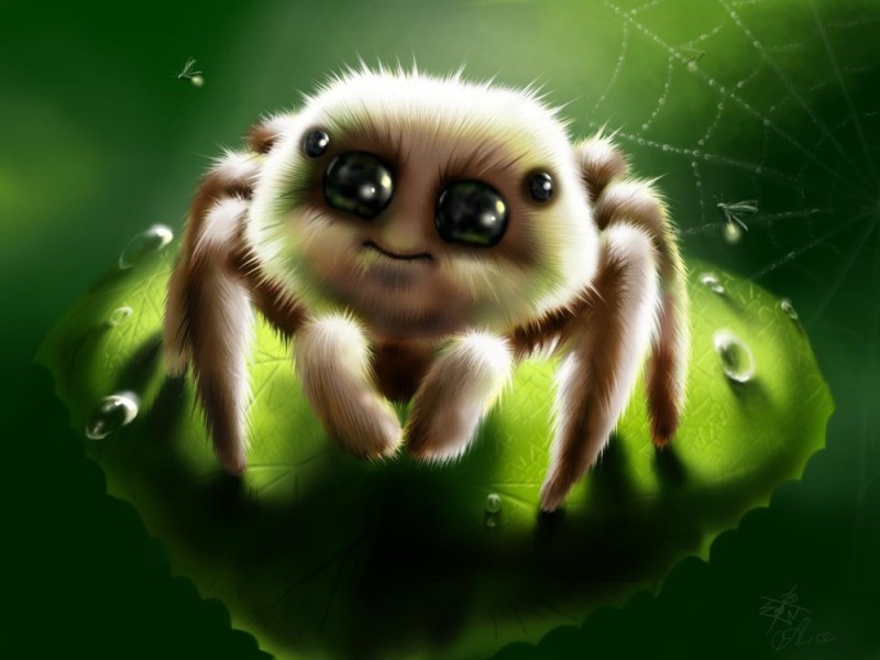 Create meme: cute spider, cute spiders, cute spider