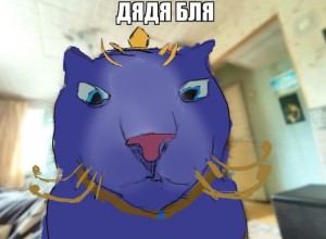 Create meme: cat flexit, memes, cats