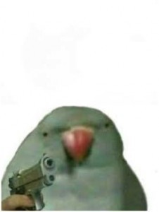 Создать мем: попугай с пистолетом мем, мемы попугаи, попугай с пистолетом