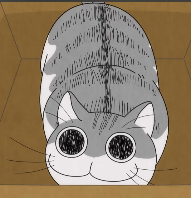 Create meme: figure , evenings with an anime cat, anime cat chii