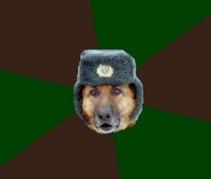 Create meme: dog, meme dog, army-dog