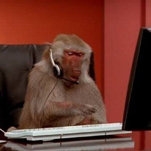 Create meme: the monkey behind the computer, monkey for PC, monkey behind a computer