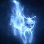 Create meme: Patronus McGonagall (the cat), Patronus is a Fox, Patronus