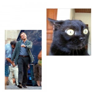 Create meme: cat, Leonardo DiCaprio walk, Leonardo DiCaprio is