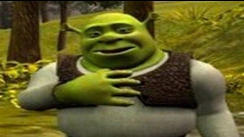 Create meme: Shrek meme was wasted, nothing bikanel Shrek, meme Shrek 
