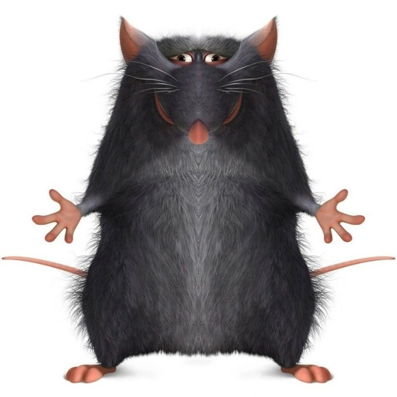 Create meme: ratatouille mouse, ratatouille opa, Ratatouille rats