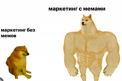 Create meme: meme dogs jock, doge meme Jock, the dog is a jock meme