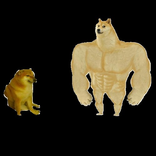 Create meme: doge is a jock, inflated dog meme, Doge meme is muscular