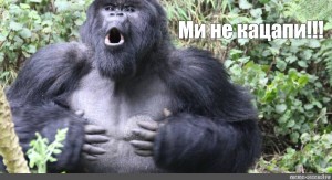Создать мем: горилла обезьяна, горилла мем, самец гориллы
