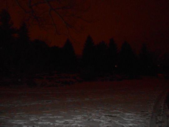 Create meme: Arshinovsky Winter Park, night photography, darkness