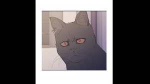 Create meme: comic books, cat