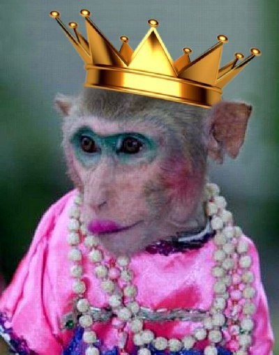 Create meme: painted monkey photo, monkey with makeup, a monkey with painted lips