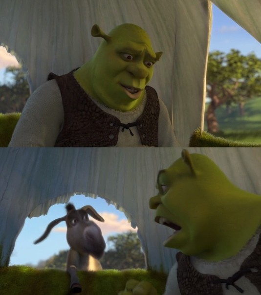 Create meme: meme Shrek , donkey shrek, Shrek Shrek