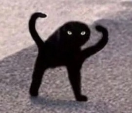 Создать мем: черный кот, кот мем ъуъ, кот мем черный