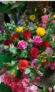 Create meme: flowers roses, the flowers of Dutch roses, beautiful flowers
