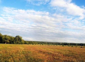 Создать мем: пейзаж, поле небо, пейзаж поле