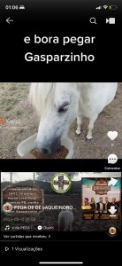 Создать мем: арабская лошадь, скриншот, пара лошадей