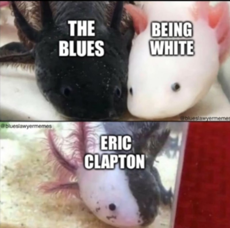 Create meme: the axolotl , axolotl black, axolotl green