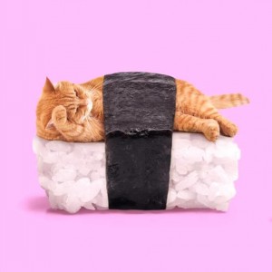 Create meme: art, paul, the cat and rolls