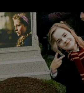 Create meme: Emma Watson, Harry Potter