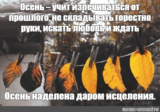 Да что говорить каждый осенний лист. Мемы про осень. Мемы с осенью. Осень Мем. Осень учит.