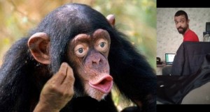 Create meme: monkey with lips, male chimpanzees, chimp meme