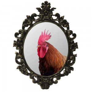 Создать мем: зеркало в рамке, Red Rooster, петух на белом фоне