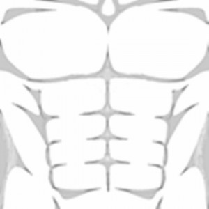 Создать мем: roblox muscle t shirt, рванное тело футболка для роблокса, мускулы роблокс