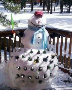 Создать мем: снеговик прикольный, фотографии снеговика, угарные снеговики