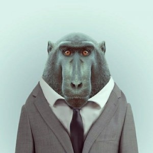 Создать мем: портреты животных, обезьяна роберт, robert обезьяной в костюме