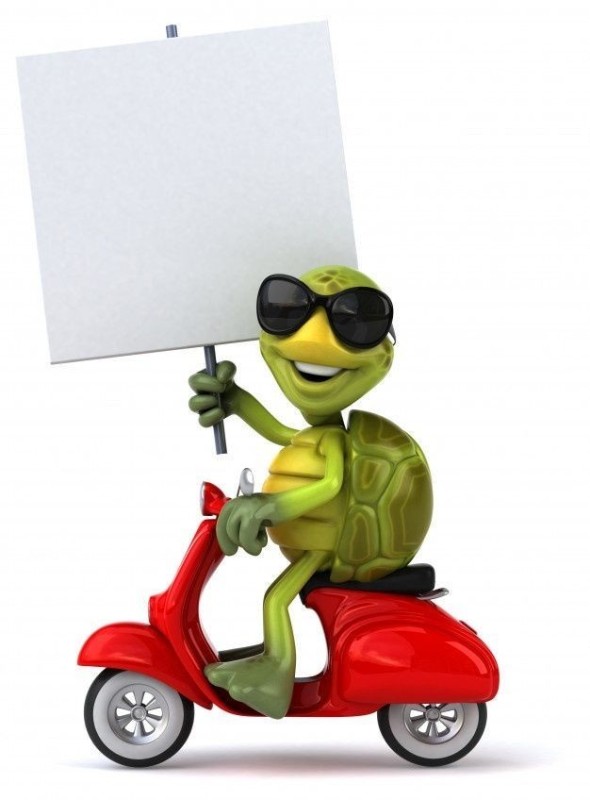 Create meme: frog on a motorcycle, scooter on a white background, frog funny