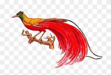 Создать мем: птица петух, красная райская птица, райские птицы рисунки