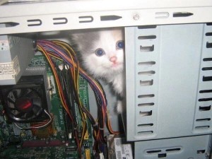 Создать мем: котята в системнике, кот чинит компьютер, коты в системном блоке