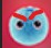 Create meme: A red ball with eyes, balls love, red ball 4 