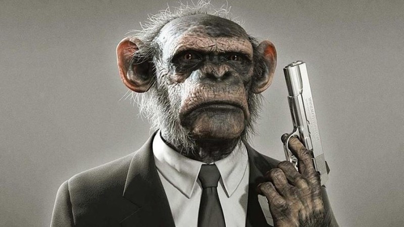 Create meme: a monkey with a gun, monkey in a jacket, chupapi munyani