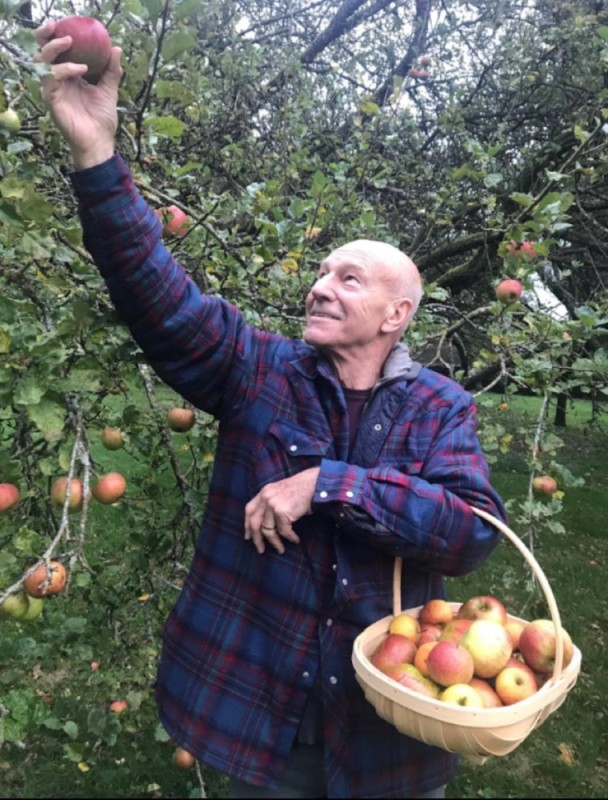 Create meme: Patrick Stewart picks apples, Patrick Stewart meme, apple pick