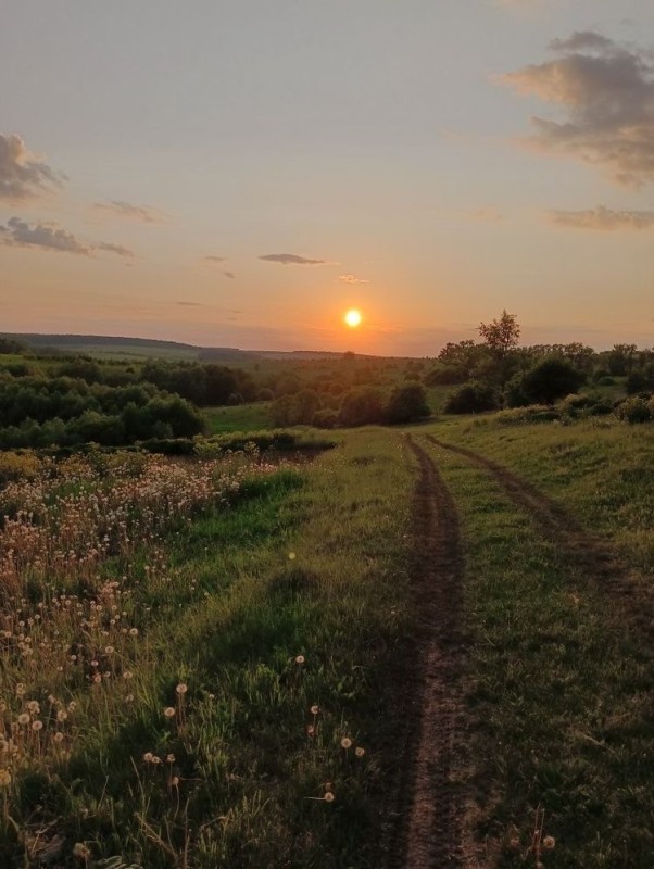 Создать мем: дорога закат, пейзаж, лето утро