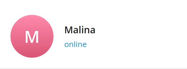 Создать мем: малина диджитал, malina shop, логотип