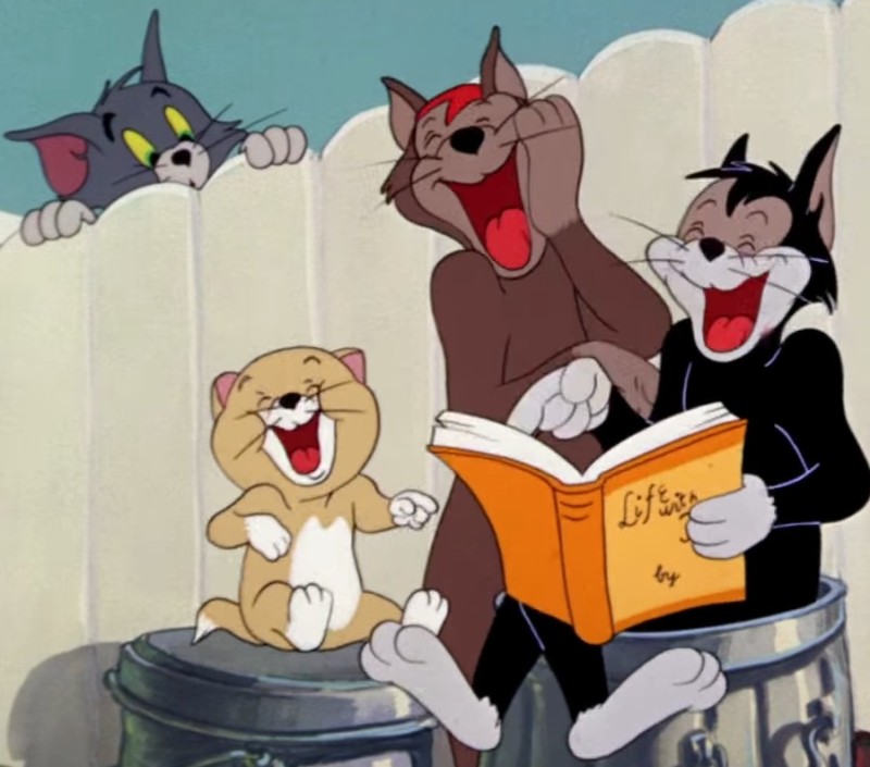 Create meme: tom and jerry tom, meme of Tom and Jerry , tom and jerry cartoon