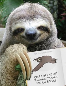 Create meme: meme sloth, smiling sloth, animal sloth
