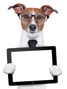 Создать мем: бизнес собака, собака менеджер, собака с телефоном