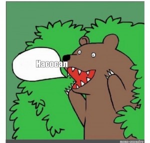 Создать мем: медведь в кустах кричит, медведь из кустов