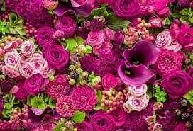 Create meme: flowers beautiful roses, beautiful flowers, background floral