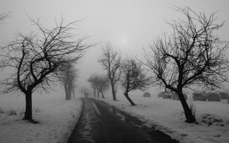 Create meme: winter road, white landscape, gloomy winter