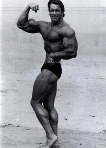 Create meme: Arnold Schwarzenegger, Arnold Schwarzenegger in his youth