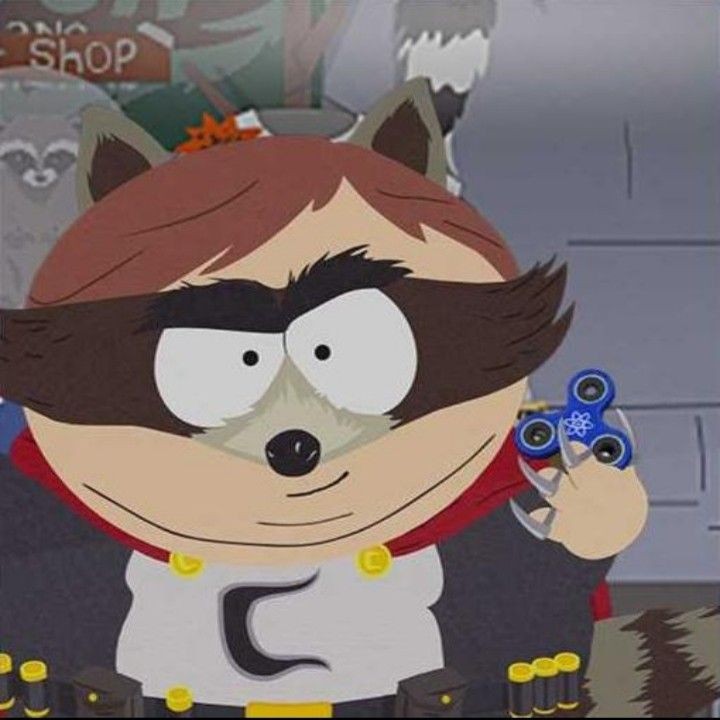 Create meme: Raccoon South Park, Eric Cartman the Raccoon, the Coon South Park