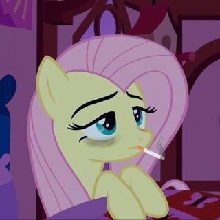 Create meme: banned from equestria fluttershy, fluttershy , mlp frames fluttershy